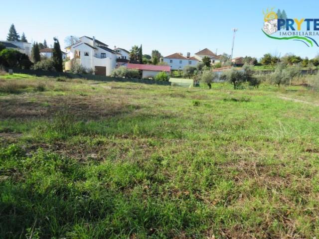 Sertã Sertã 103518165