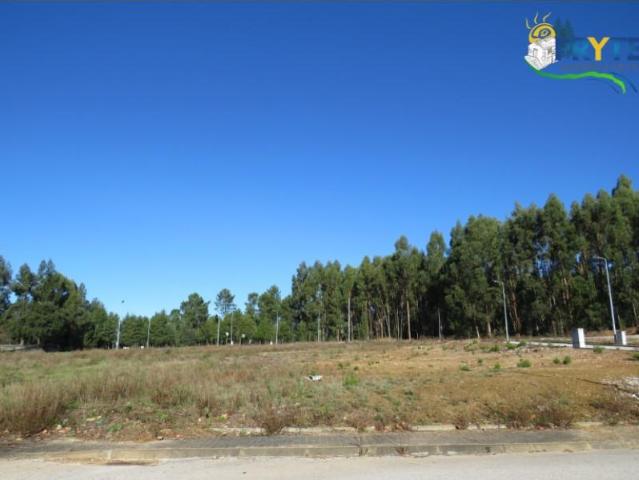 Sertã Sertã 103720028