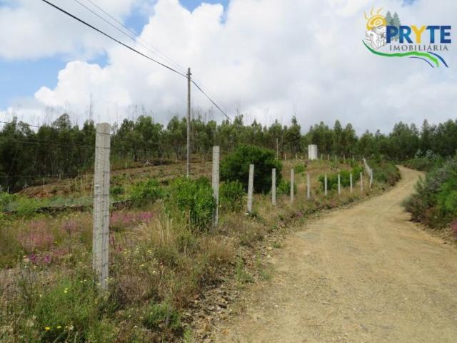 Sertã Sertã 97013108