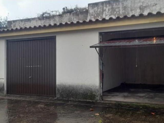 Sertã Sertã 99288381