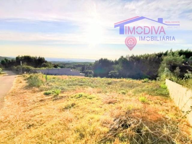 Sertã Sertã LS97119668