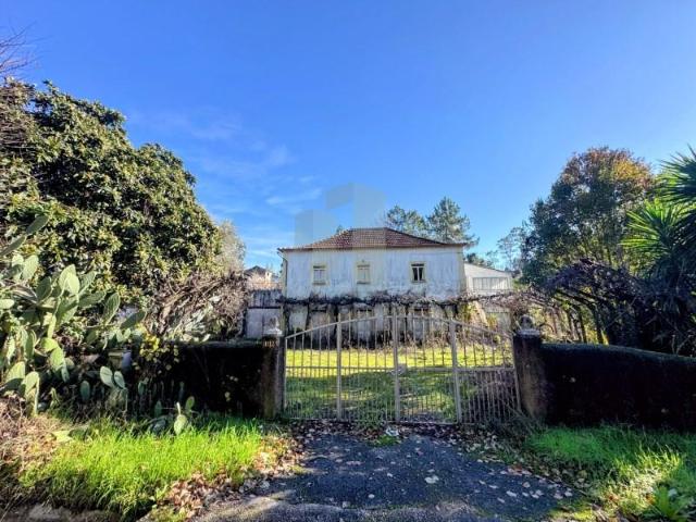 Sertã Sertã LS97481375