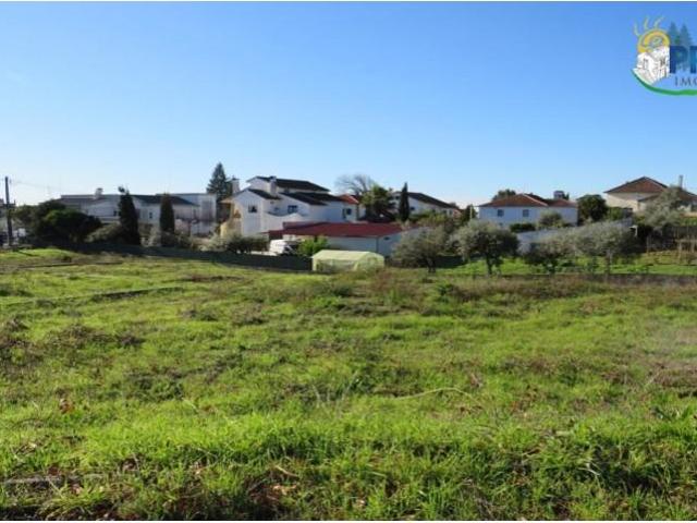 Sertã Sertã LS101293547