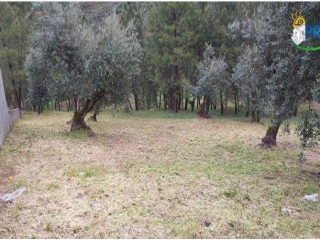 Sertã Sertã LS102648426