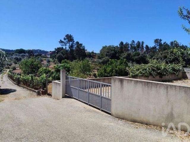 Serta Castelo Branco 92376101