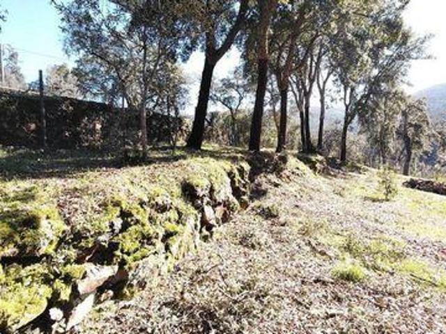 Serta Castelo Branco 103219302