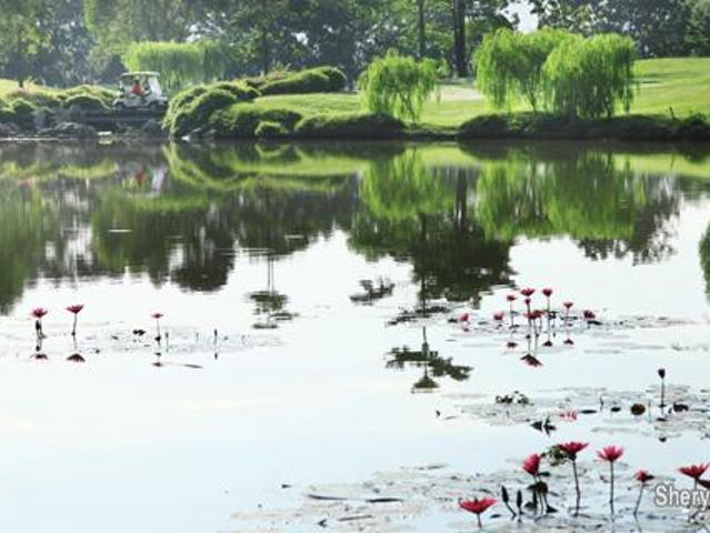 service apartment, bandar saujana, puchong, selangor