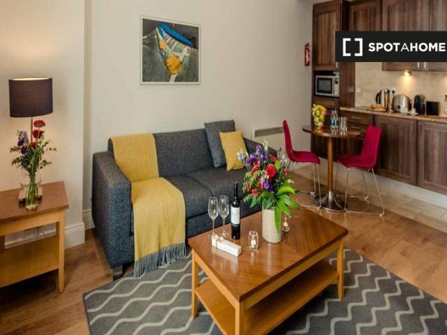 Serviced 1 Bedroom Apartment to Rent in Dublin 2