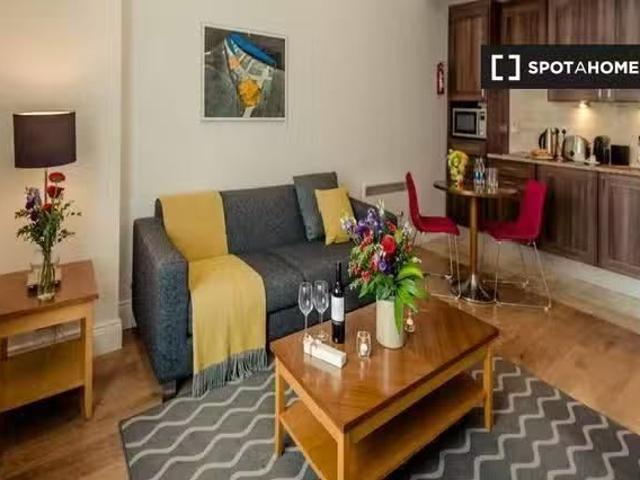 Serviced 1 Bedroom Apartment to Rent in Dublin 2