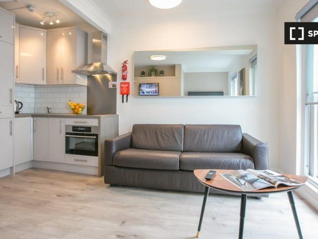 Serviced studio apartment for rent in St Stephen's Green, D2
