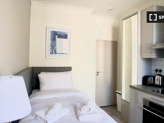 Serviced Studio Apartment for rent in the City Centre, D2