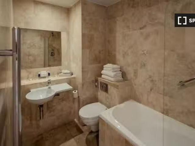 Serviced Studio Apartment to Rent in Dublin 2