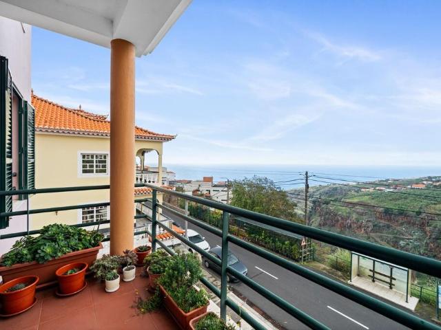 Ser Ébano | Estrada principal da Estrela da Calheta | Amplo. 70m² Arco Da Calheta