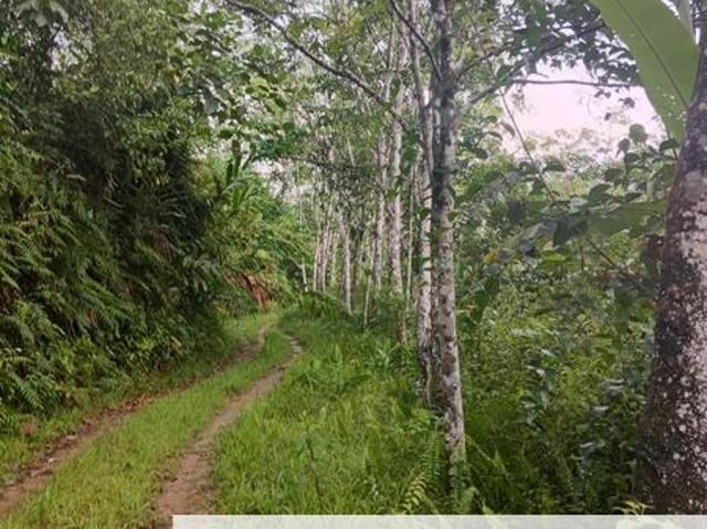 Serendah