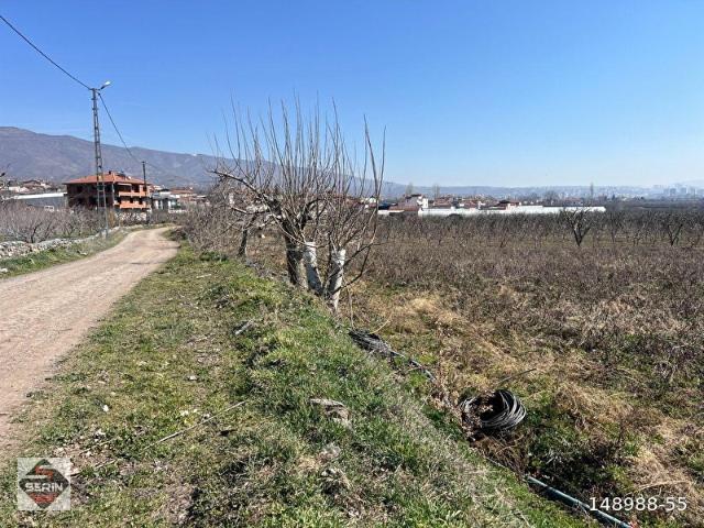 SERİN EMLAKTAN AKYAMAÇ KÖYÜNDE SATILIK ARSA