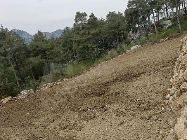 SERİK BOZDOĞANDA SATILIK TARLA 17.290 m