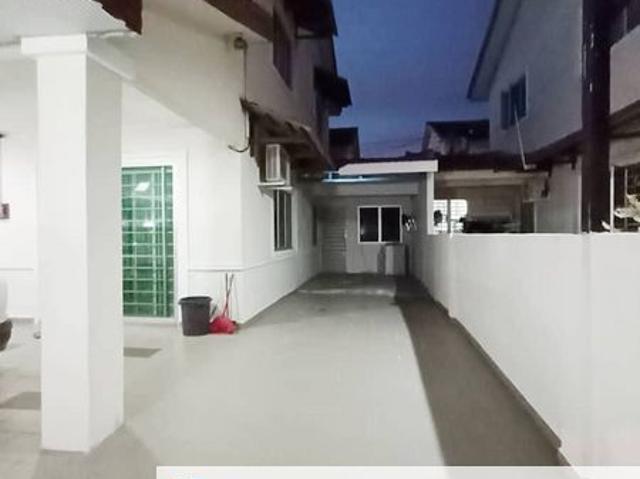 Seri Palma Botani Palma