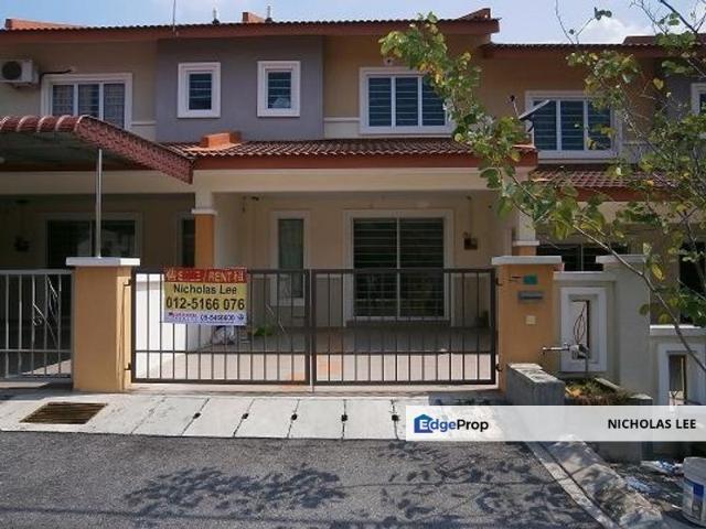 Seri Palma Botani Palma