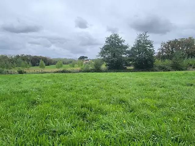 Serres Gaston 40700 Achat / Vente terrain