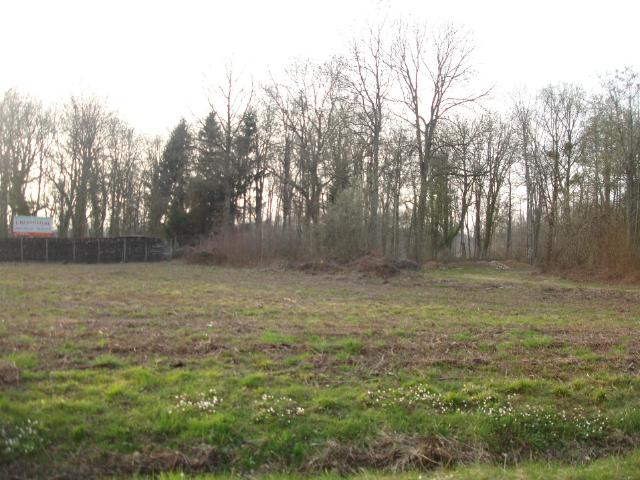 Serris Vente Terrain 77