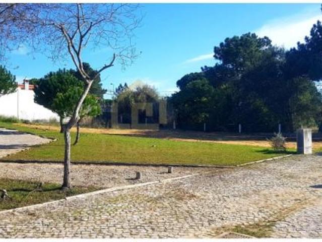 Sesimbra Sesimbra 87076749