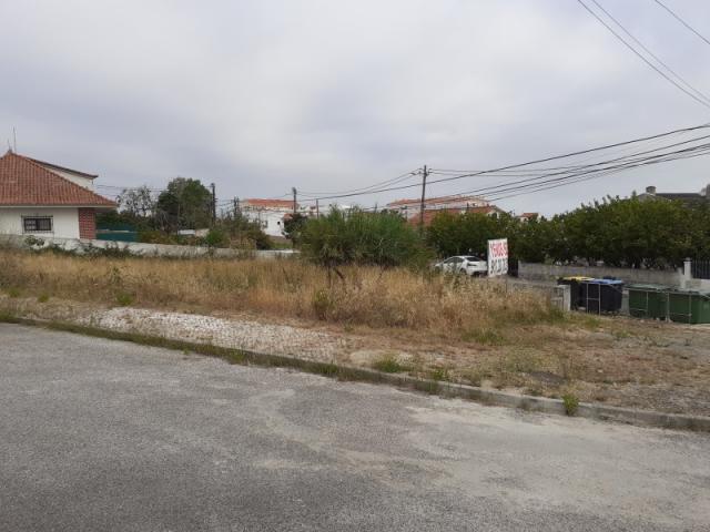 Sesimbra Sesimbra 87104021