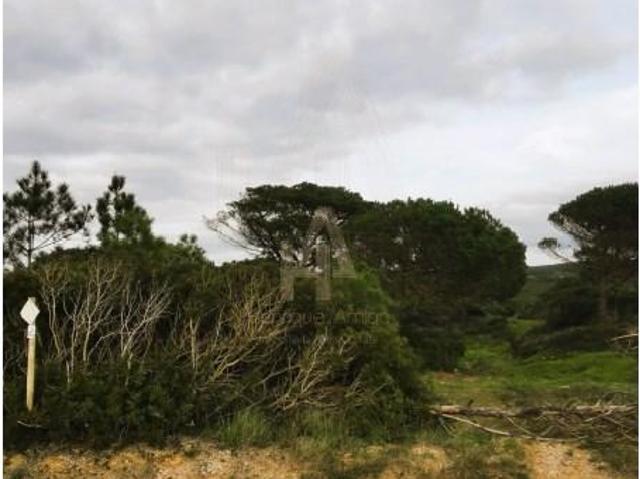 Sesimbra Sesimbra 87697457