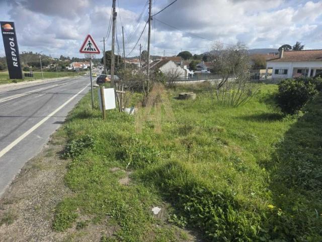 Sesimbra Sesimbra 87773005