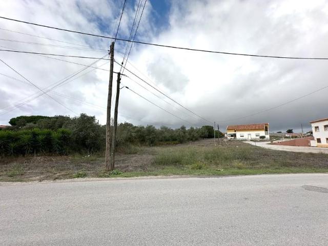 Sesimbra Sesimbra 88542413