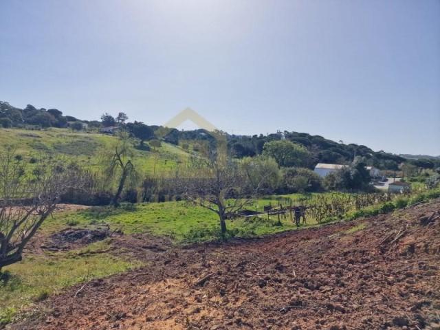 Sesimbra Sesimbra 89097988