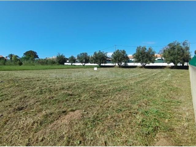 Sesimbra Sesimbra 92651423