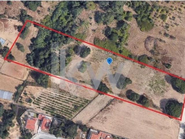 Sesimbra Sesimbra 92931665