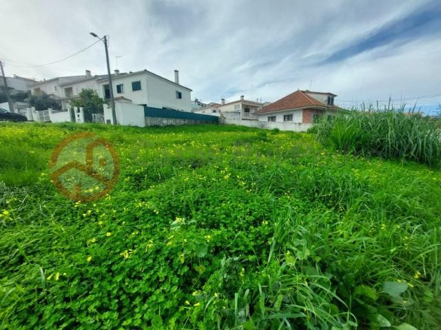 Sesimbra Sesimbra 93542580