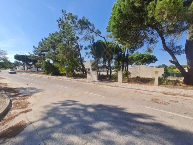 Sesimbra Sesimbra 94948240