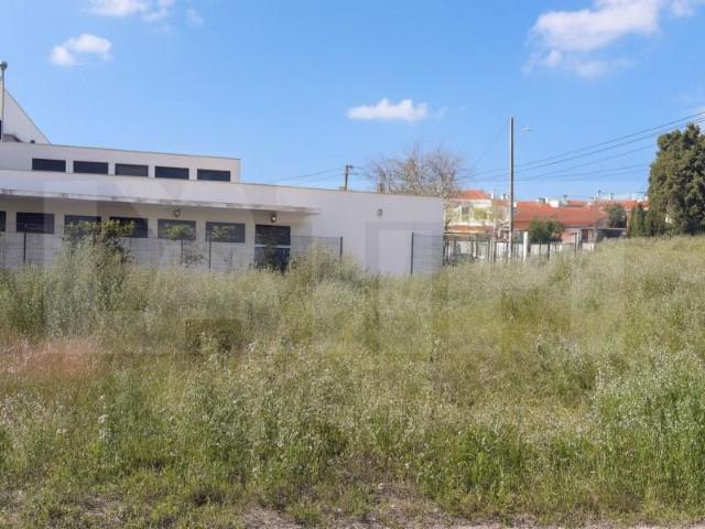Sesimbra Sesimbra 95594498
