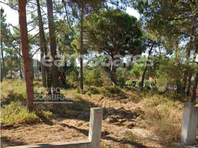 Sesimbra Sesimbra 97192247