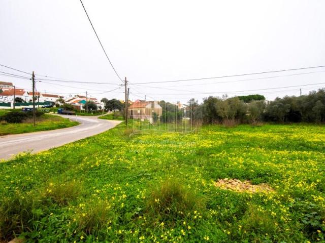 Sesimbra Sesimbra 97121281