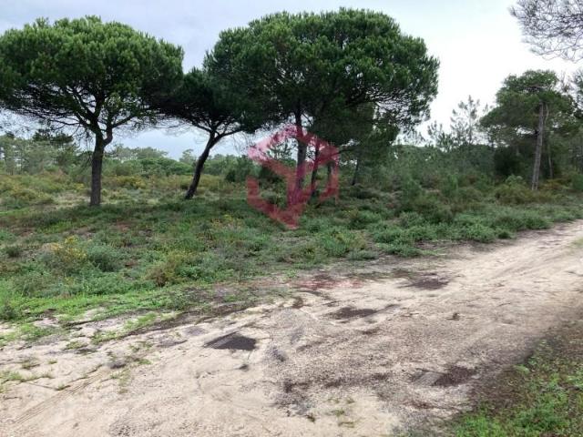 Sesimbra Sesimbra 97123482