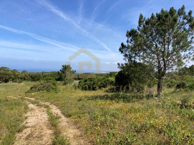 Sesimbra Sesimbra 97123662