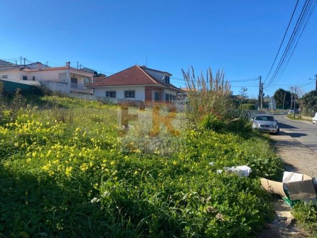Sesimbra Sesimbra 97947383