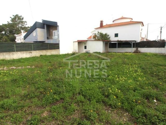 Sesimbra Sesimbra 98188049