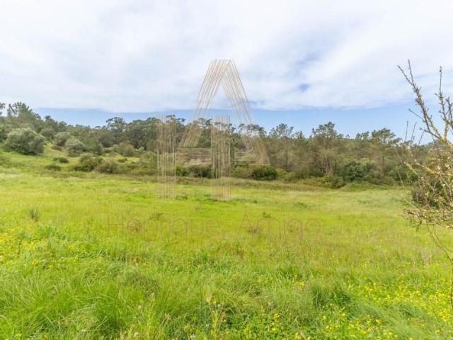 Sesimbra Sesimbra 98364637