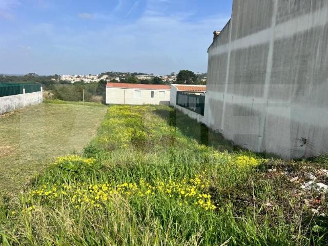 Sesimbra Sesimbra 99470845