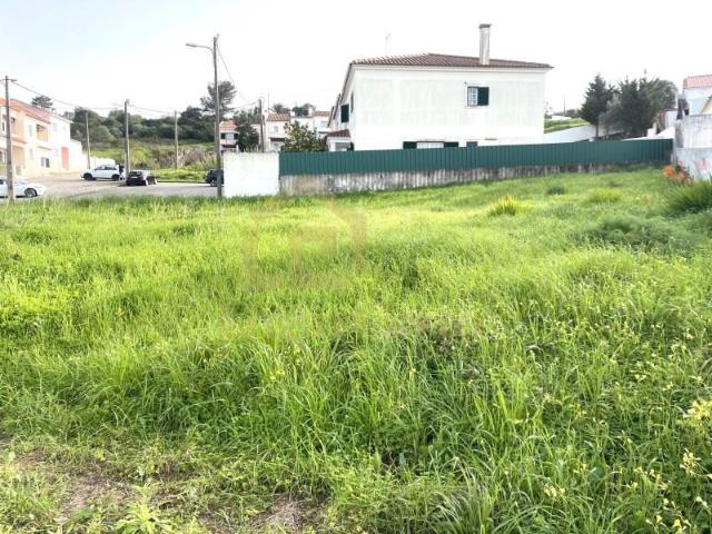 Sesimbra Sesimbra 99784200