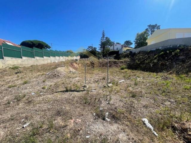 Sesimbra Sesimbra 100768233