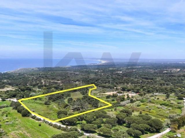 Sesimbra Sesimbra 101740783