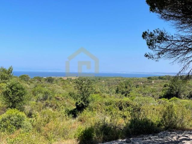 Sesimbra Sesimbra 101035347