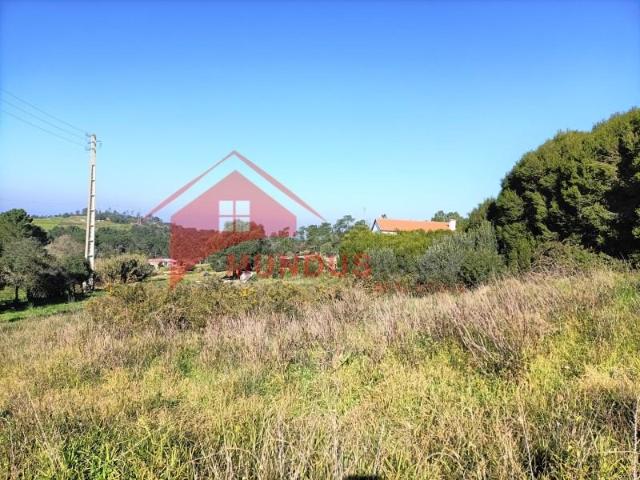 Sesimbra Sesimbra 102587235