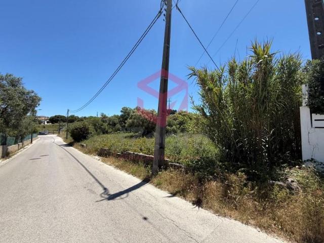 Sesimbra Sesimbra 102921339
