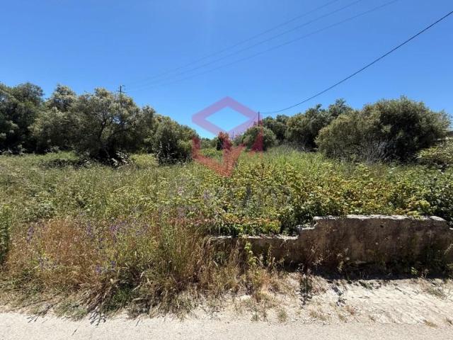 Sesimbra Sesimbra 102921339
